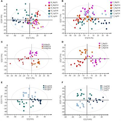 Plasma metabolome analysis for predicting antiviral treatment efficacy in chronic hepatitis B: diagnostic biomarkers and therapeutic insights